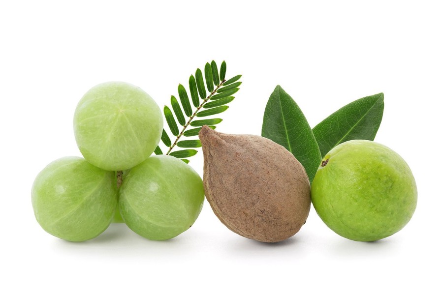 Naturaplaza Triphala Poeder Biologisch | Ayurvedische Kruiden