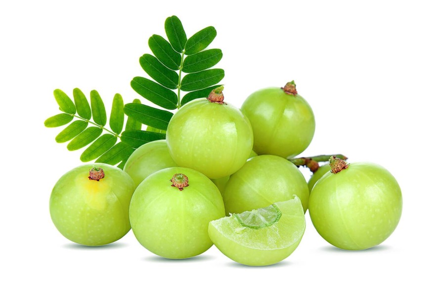 Naturaplaza Amla Poeder Biologisch | Ayurvedische Kruiden