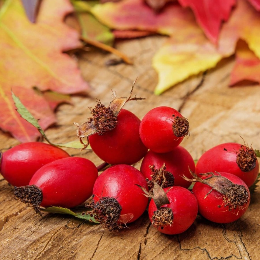 Naturaplaza Rozenbottel Poeder Biologisch | Superfruits