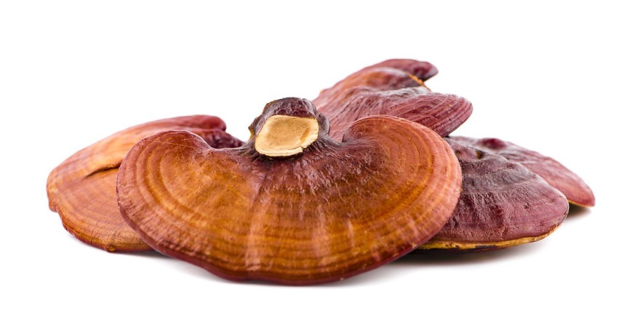 Naturaplaza Reishi Granulaat 4-5 Mm Biologisch | Reishi