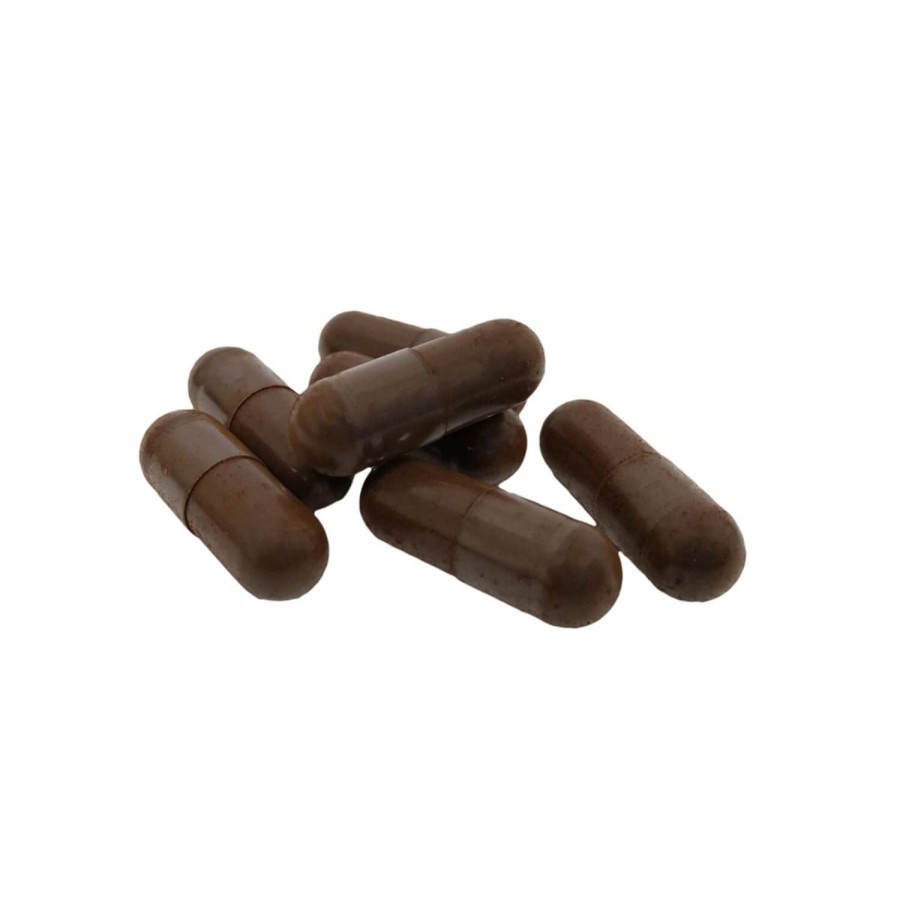 Naturaplaza Nutrikraft - Chaga Capsules Biologisch | Biologische Supplementen