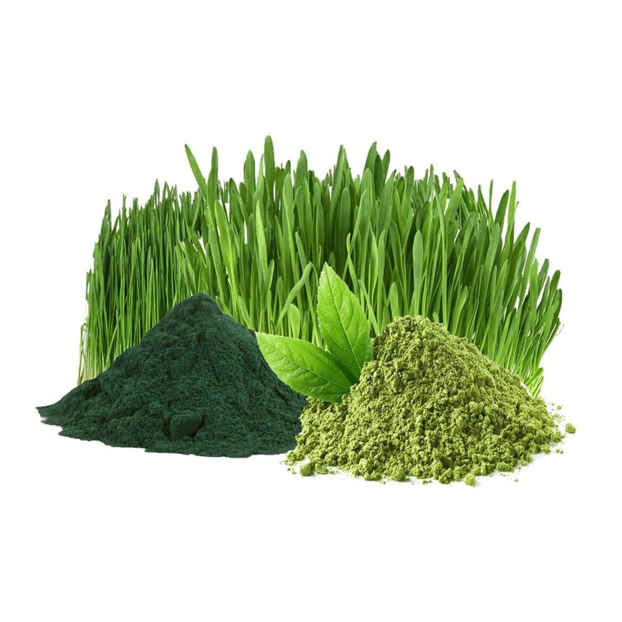 Naturaplaza Green Blend Poeder Biologisch | Supergreens