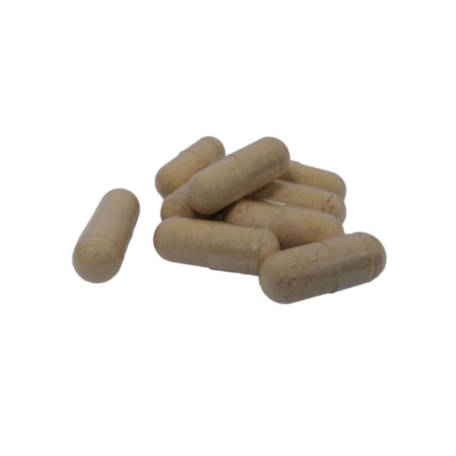 Naturaplaza Nutrikraft - Pruikzwam (Lions Mane) Capsules Biologisch | Biologische Supplementen