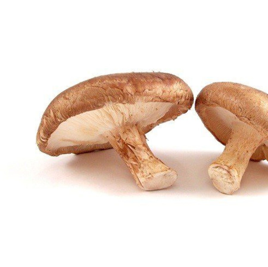 Naturaplaza Shiitake Granulaat 1-3 Mm Biologisch | Powerfoods