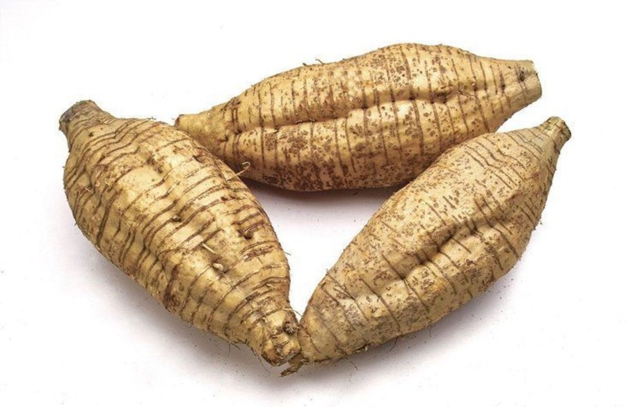 Naturaplaza Arrowroot Poeder Biologisch | Supervezels